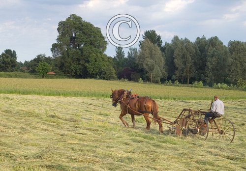 Hay Turning DM1220